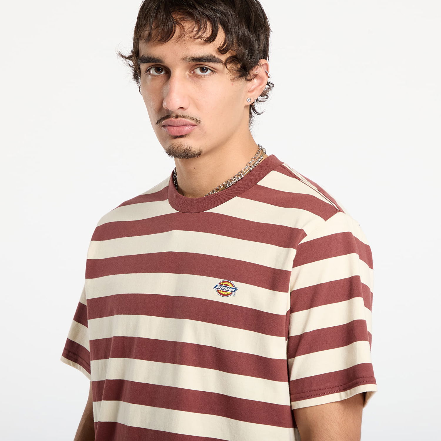 Tričko Dickies T-shirt Striped Rivergrove Ss Tee Rôznofarebný | DK0A4Y8YL161, 1