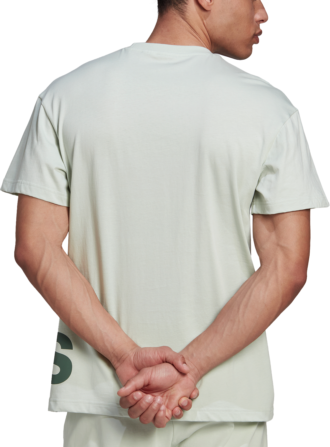 Tričko adidas Originals GL Tee Zelené | hl2218, 1