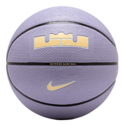 Playground 2.0 8P L James Basketball Training Ball