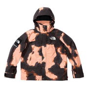 Supreme x The North Face Print Mountain Jacket