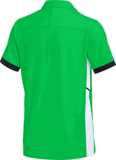 Polo tričko Nike Nike DF ACD25 Short Sleeve Polo Shirt Zelené | fz9763-329, 1