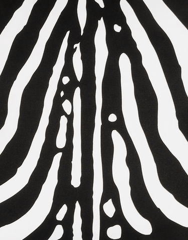 Home decor Dolce & Gabbana Dolce & Gabbana Zebra Print Canvas Cushion Rôznofarebný | TCE001TCAF1UZ003, 3