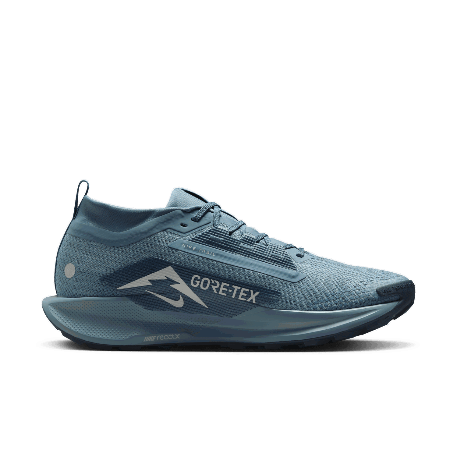 Tenisky a topánky Nike Pegasus Trail 5 GORE-TEX Modrá | FQ0908-005, 1