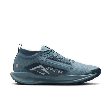 Tenisky a topánky Nike Pegasus Trail 5 GORE-TEX Modrá | FQ0908-005, 1