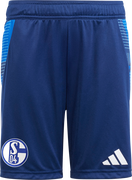 FC Schalke 04 Shorts