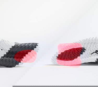 Tenisky a topánky Jordan Jordan Max 200 Čierna | CD6105-006, 5