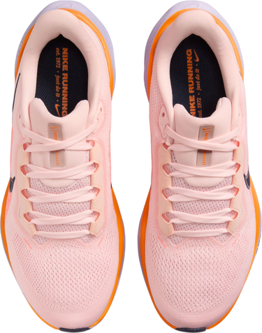 Tenisky a topánky Nike Pegasus 41 Ružová | fd2723-603, 2