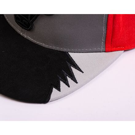 Day 5 Snapback Chicago Bulls