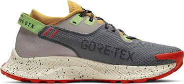 Tenisky a topánky Nike Pegasus Trail 2 GTX W Hnedá | cu2018-002, 2
