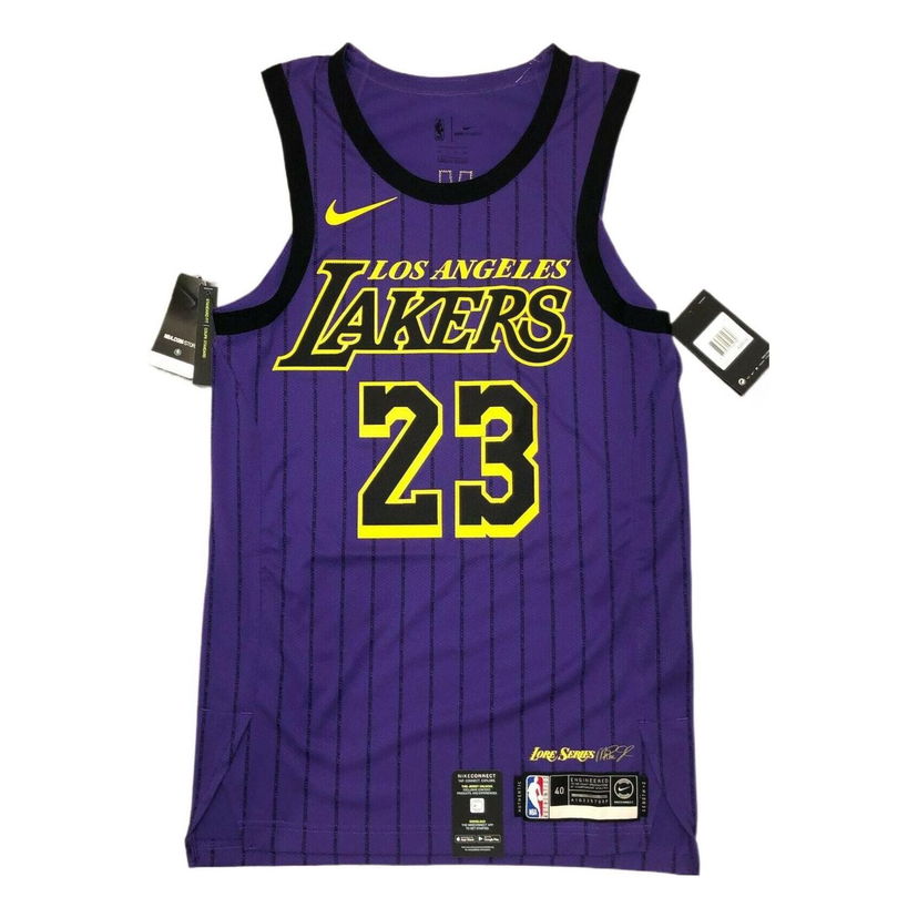 Dres Nike NBA LA Lakers James City Edition Basketball Jersey Fialová | AH6213-508