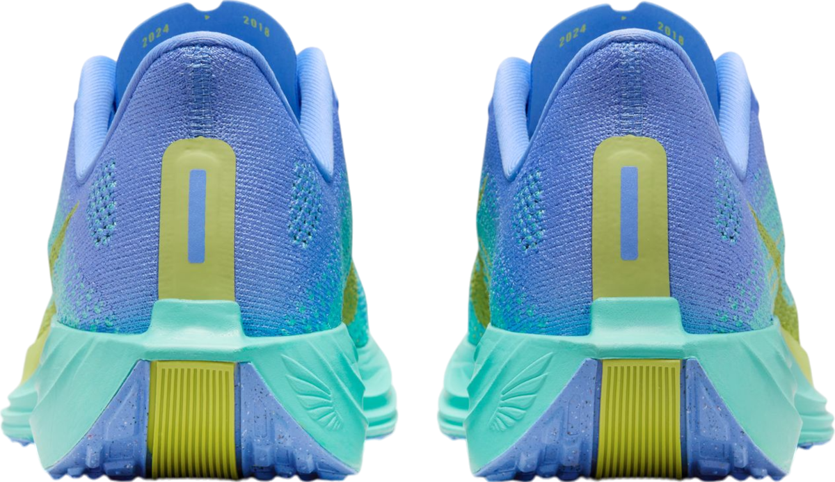 Tenisky a topánky Nike Pegasus Plus Rôznofarebný | fq7261-401, 1