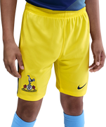 Tottenham Hotspur Stadium Third Dri-FIT Shorts 2025/26