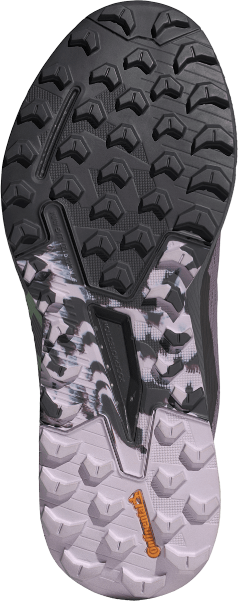 Tenisky a topánky adidas Performance adidas Terrex TERREX AGRAVIC FLOW 2 GTX W Fialová | id2501, 1