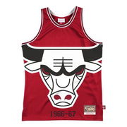 Chicago Bulls Hardwood Classics 1966-67 Jersey