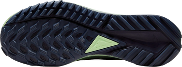Tenisky a topánky Nike Pegasus Trail 4 GORE-TEX Zelené | dj7926-303, 1