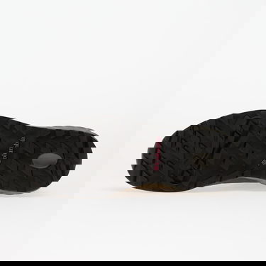 Tenisky a topánky Columbia Columbia Newton Alpine PT Hiking Boots Hnedá | 2128851252, 1