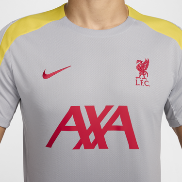Tričko Nike Dri-FIT Liverpool FC St Šedá | FQ2611-078, 2