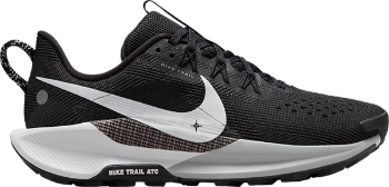 Nike Pegasus Trail 5 dv3865-001