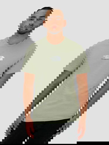 Tričko The North Face Fine Alpine Equipment Tee Zelené | NF0A4SZU3X3, 0