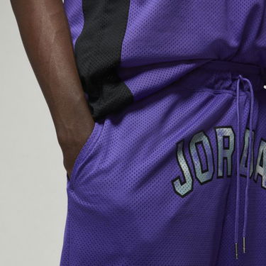 Šortky Jordan Sport DNA Mesh Shorts Fialová | DM1414-579, 1