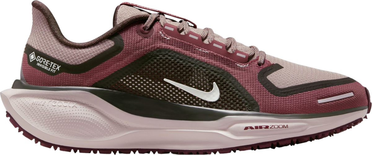 Tenisky a topánky Nike Pegasus 41 GORE-TEX Vínová | fq1357-200, 0