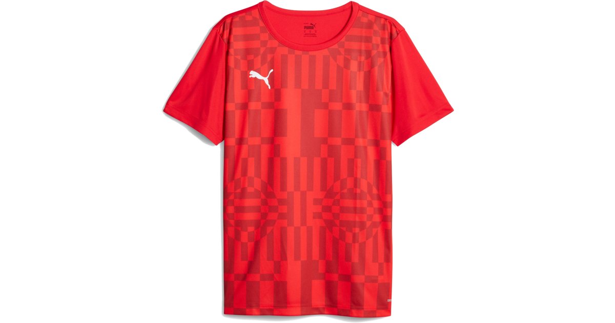 Dres Puma individualRISE Graphic Červená | 658614-01, 1