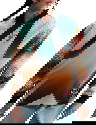 Dres Nike France Goalkeeper Long-Sleeve Jersey 2026 Rôznofarebný | io2679-010, 0