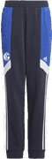 FC Schalke 04 Team Track Pants
