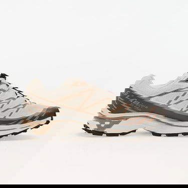 Tenisky a topánky Salomon XT-6 Almond Milk/ Portabella/ Ice Fl Béžová | L47582200, 2