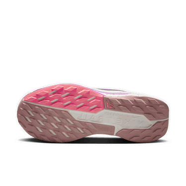 Tenisky a topánky Nike Pegasus Trail 5 Modrá | DV3865-401, 2