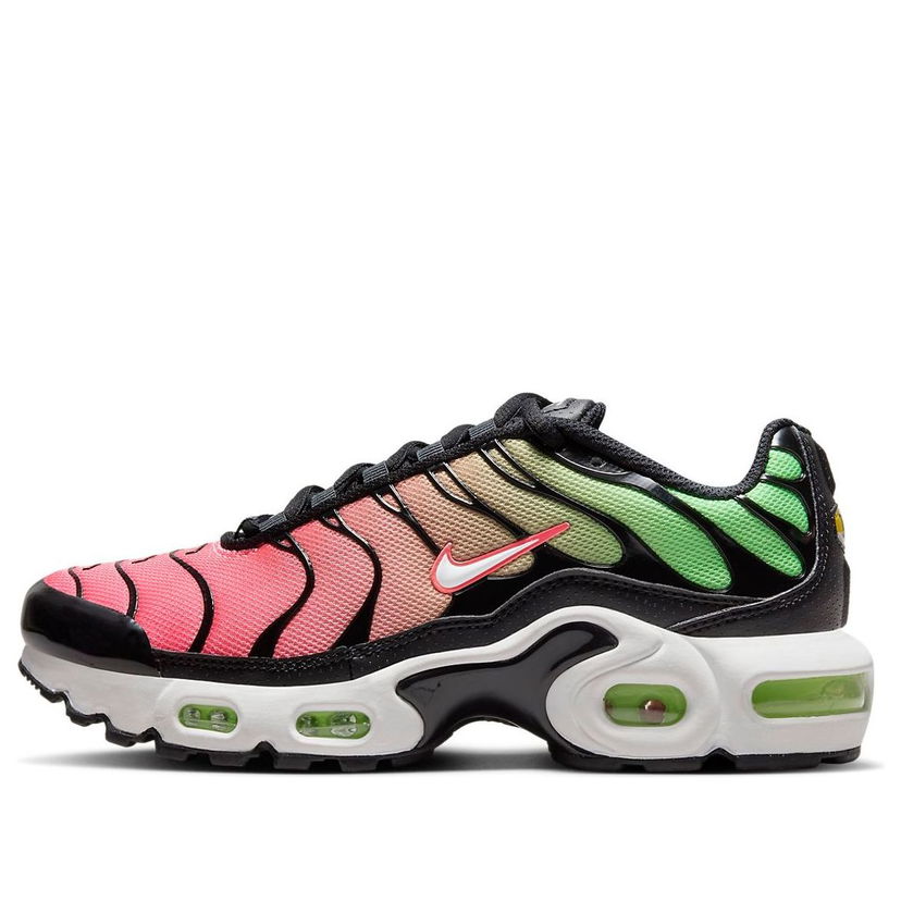 Tenisky a topánky Nike Air Max Plus Rôznofarebný | CD0609-010