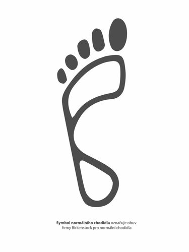 Tenisky a topánky Birkenstock Arizona Reg Birko-Flor Hnedá | 051701_dark brown, 6