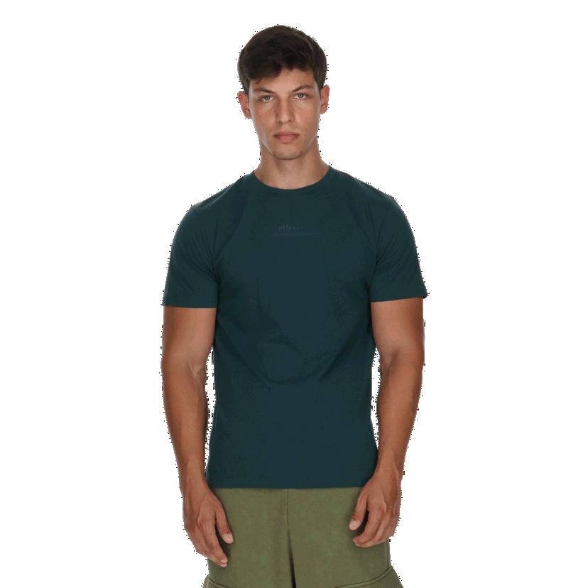Tričko Ellesse Ellesse Men's Tee Zelené | ELA253M801-61