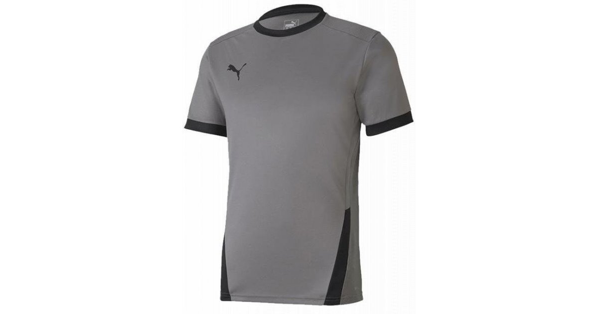 Tričko Puma Puma teamGOAL 23 T-Shirt Šedá | 704171-13, 1