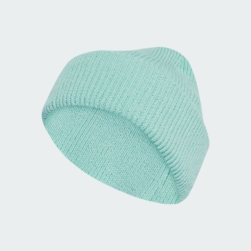 Kulicha adidas Performance Terrex Beanie Tyrkysová | JX1267