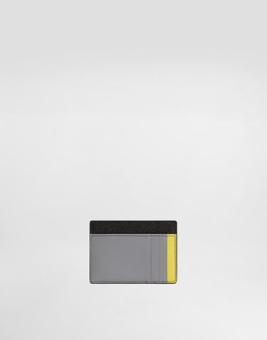Peňaženka Dolce & Gabbana Dolce & Gabbana Dauphine Card Holder Rôznofarebný | BP3325A6N728N971, 2