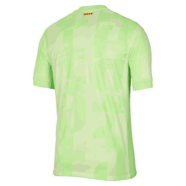 Dres Nike Dri-FIT FC Barcelona Stadium 2024/25 Third Football Replica Jersey Zelené | FQ2022-701, 1