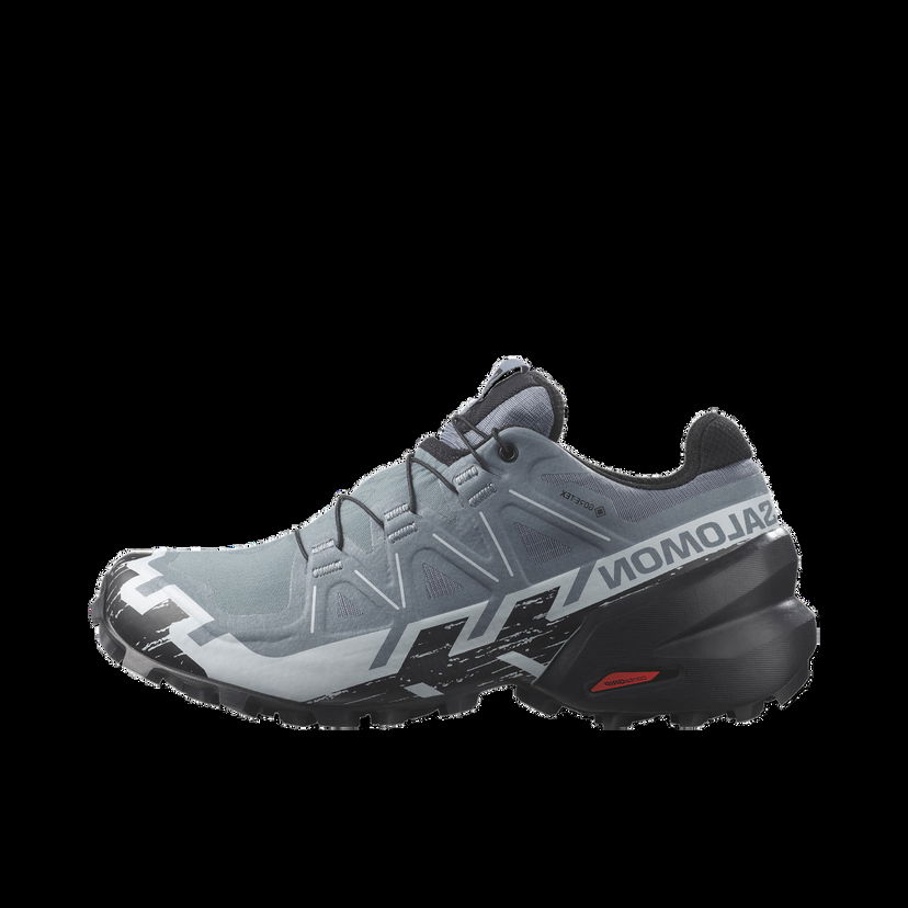 Tenisky a topánky Salomon SPEEDCROSS 6 GTX W Šedá | l47302300