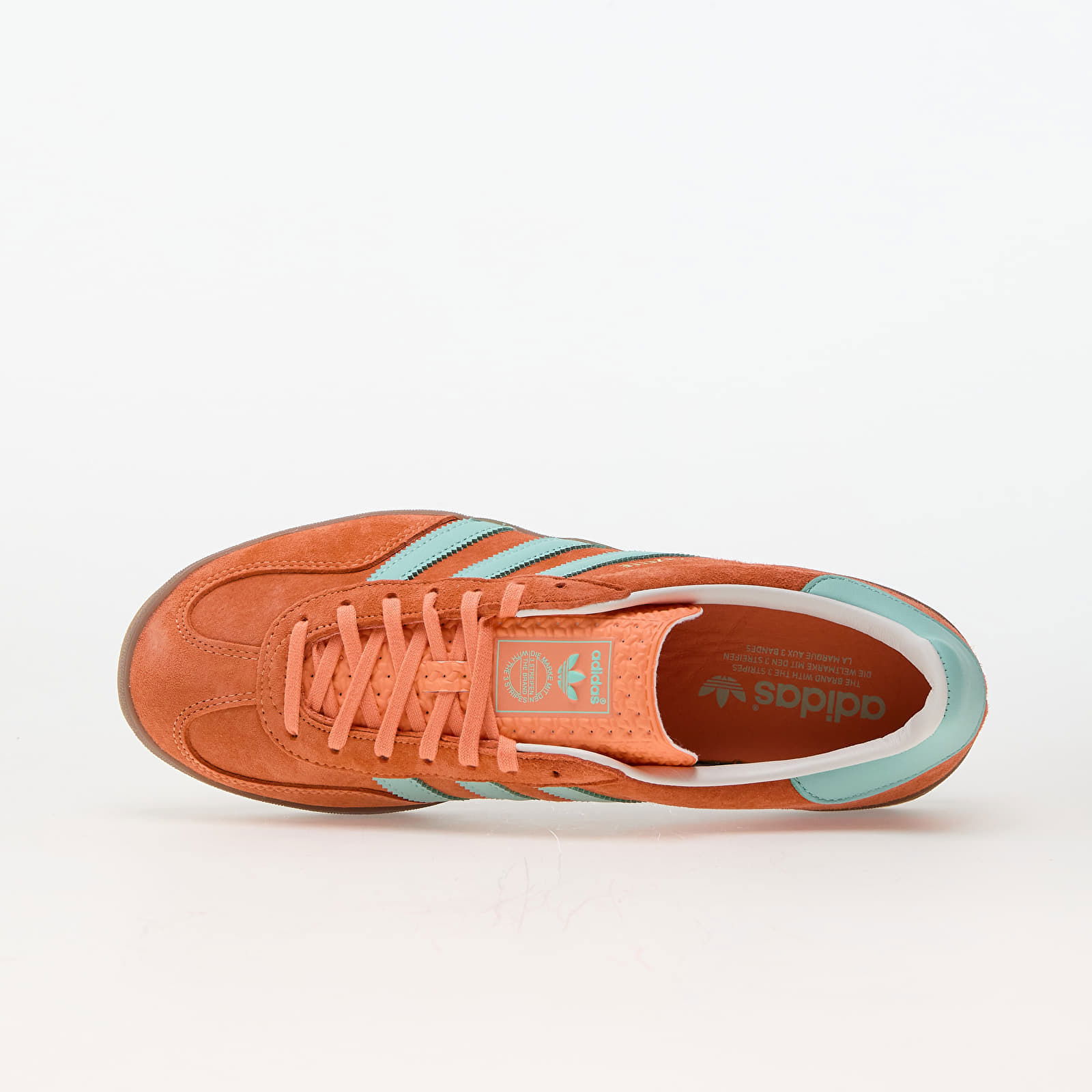 GAZELLE INDOOR