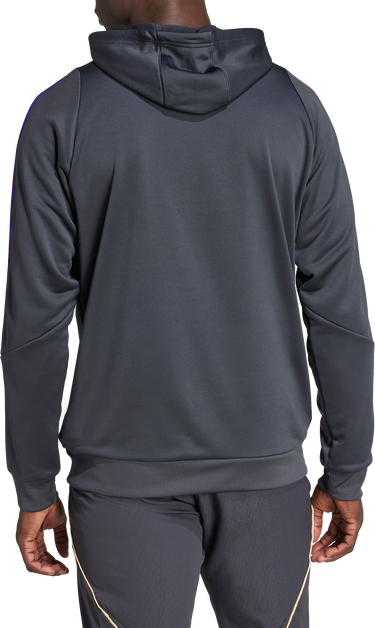 Mikina adidas Originals Olympique Lyonnais TR Hoody Šedá | jl9490, 2