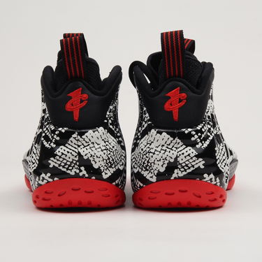 Tenisky a topánky Nike Air Foamposite One Čierna | 314996-101, 3