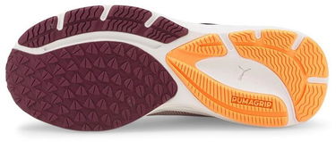 Tenisky a topánky Puma Velocity Nitro 2 W Fialová | 376262-03, 1