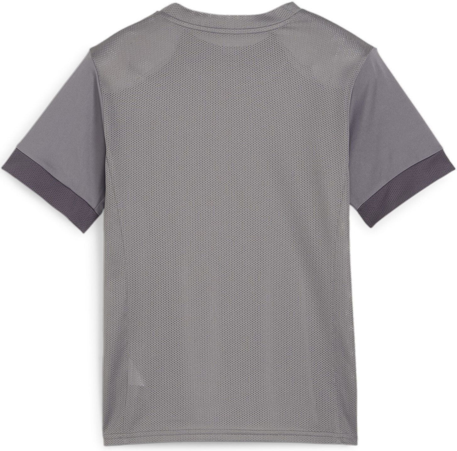 Dres Puma teamGOAL Matchday Jersey jr Šedá | 705748-13, 1