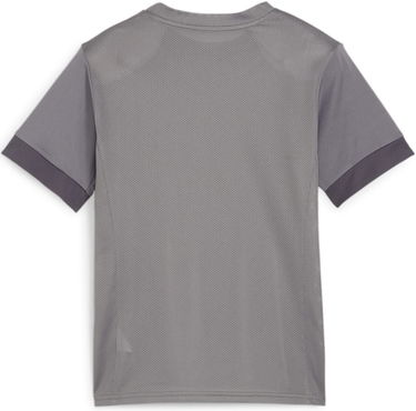 Dres Puma teamGOAL Matchday Jersey jr Šedá | 705748-13, 1