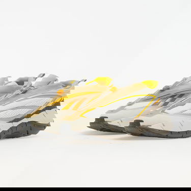 Tenisky a topánky Reebok Zig 3D Storm Béžová | G55691, 4