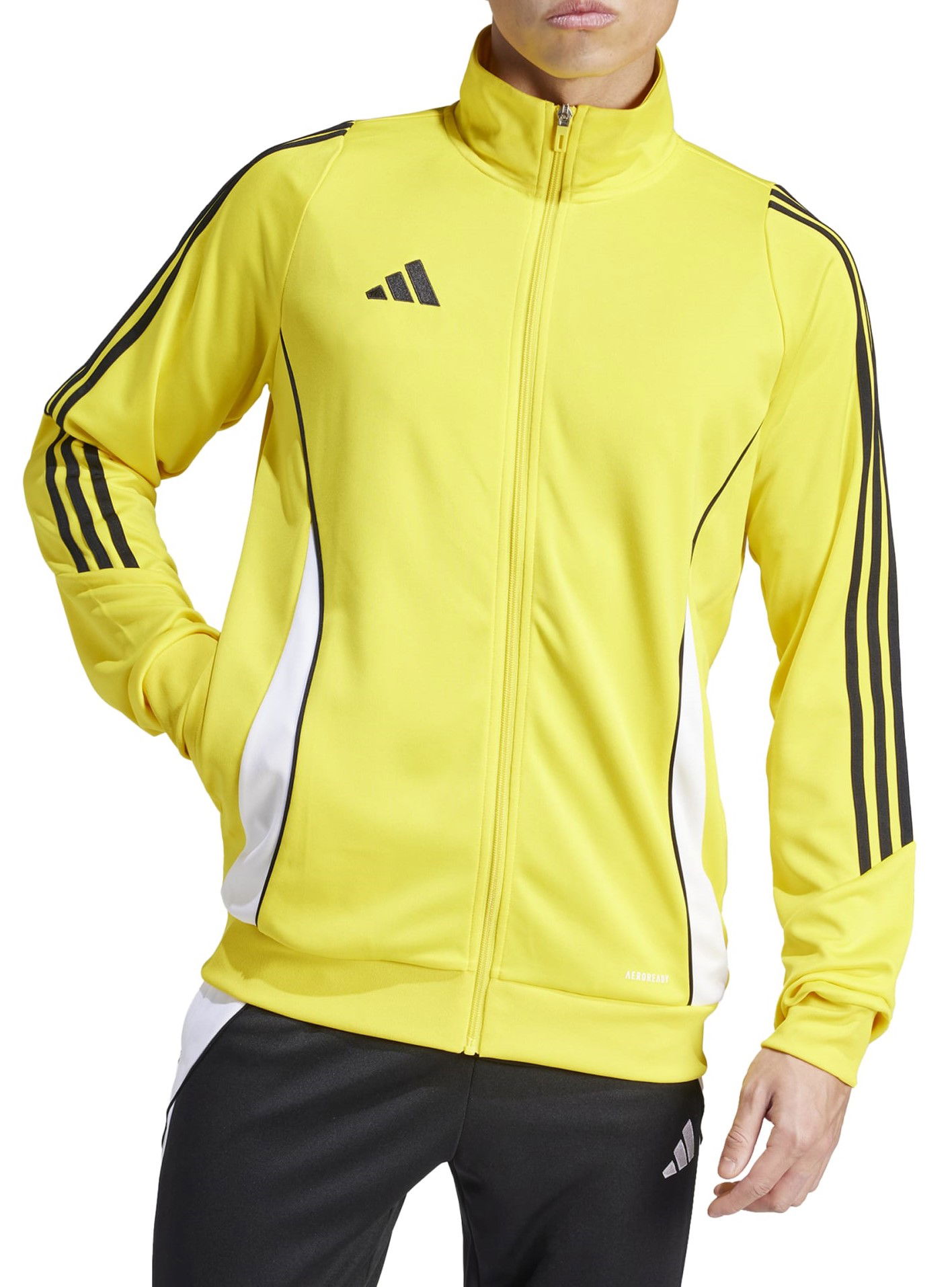 Bunda adidas Originals adidas TIRO24 TRJKT Žltá | ir9493, 0