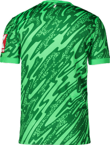 Dres Nike Nike SC Freiburg Goalkeeper Jersey 2025/26 Zelené | 6scffd7482-329, 1