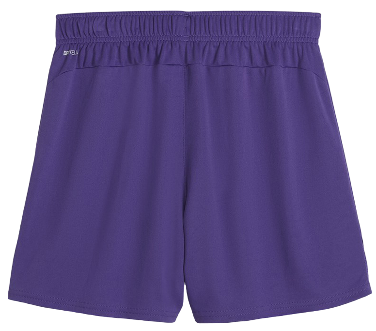Šortky Puma teamGOAL Shorts Wmns Fialová | 705754-10, 1
