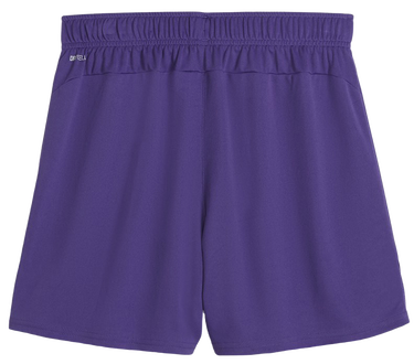 Šortky Puma teamGOAL Shorts Wmns Fialová | 705754-10, 1