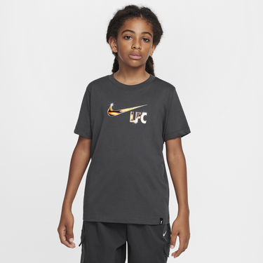Tričko Nike Liverpool FC Swoosh T-Shirt Šedá | HJ4022-070, 0